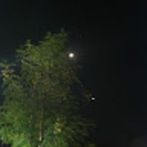 Meet your Posher, Robin-brianna